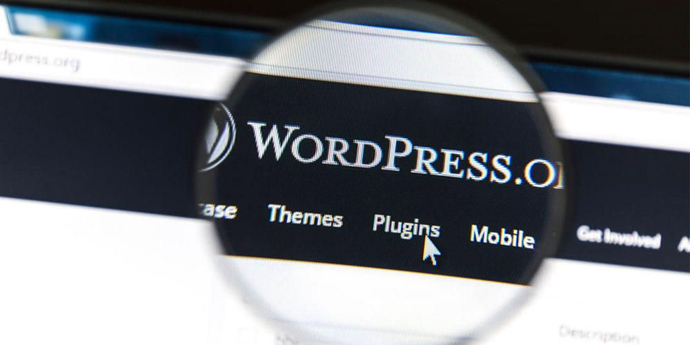Get to know the WordPress interface